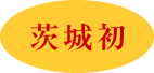 茨城初